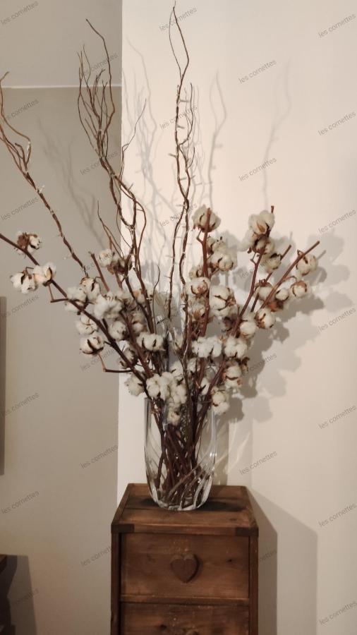 Appartement Meuble Classe 3 Etoiles De 72 M2, 2 Chambres 莫尔济讷 外观 照片